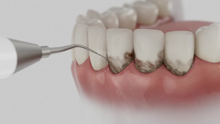 Reliable Dental contractor in Chisholm, ME by Dentist Open Now